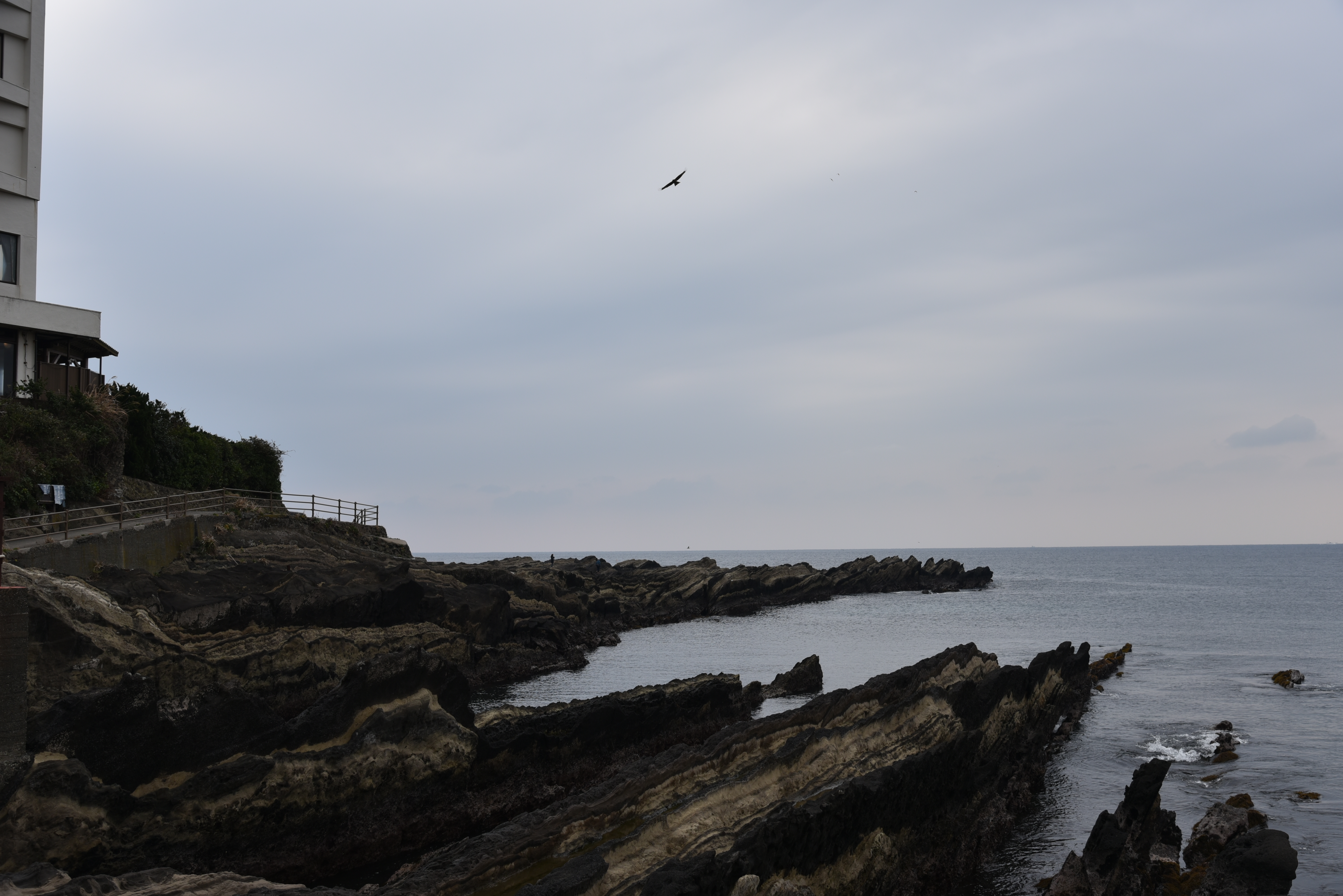 DSC_0757