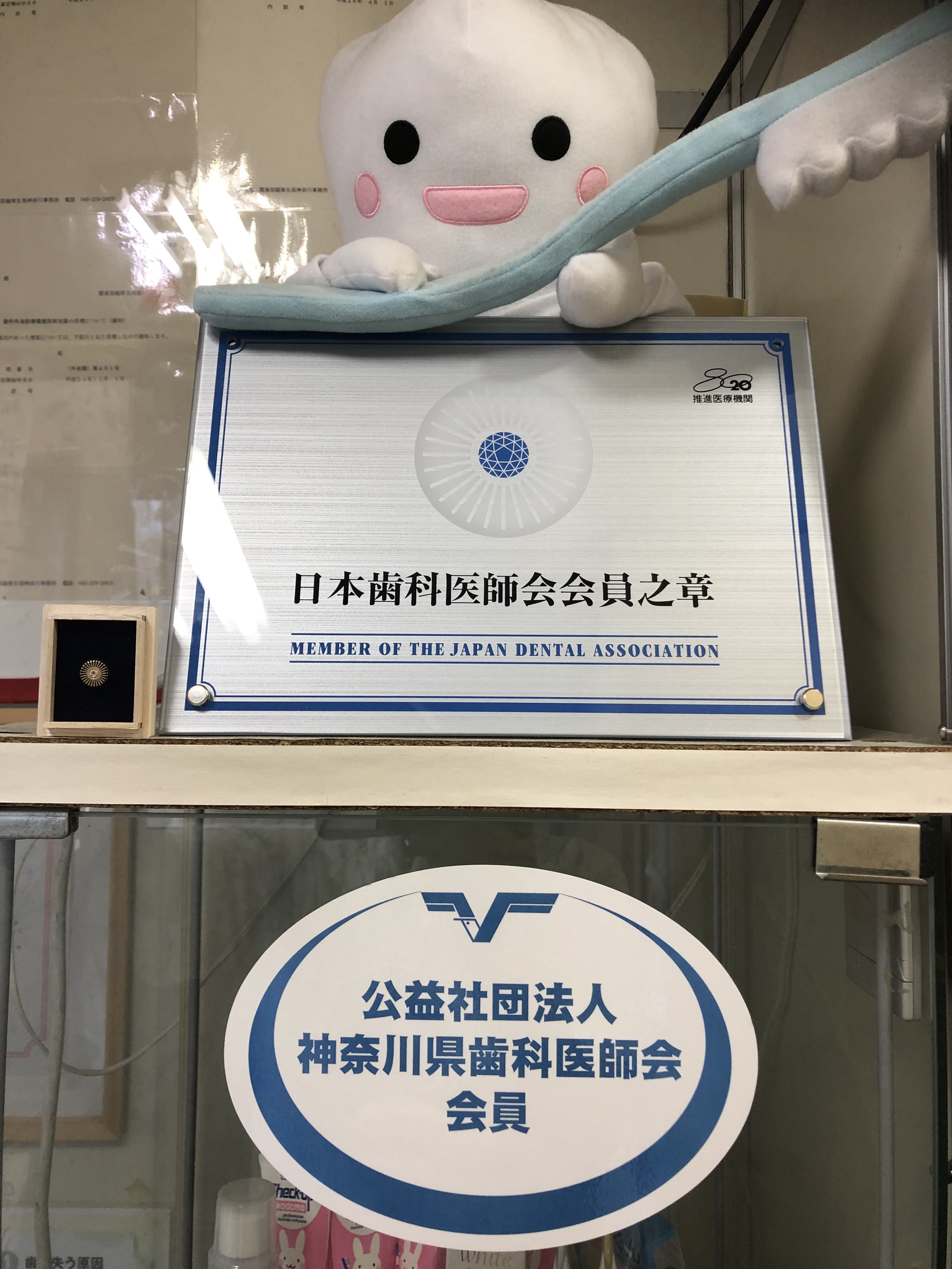 歯科医師会の章