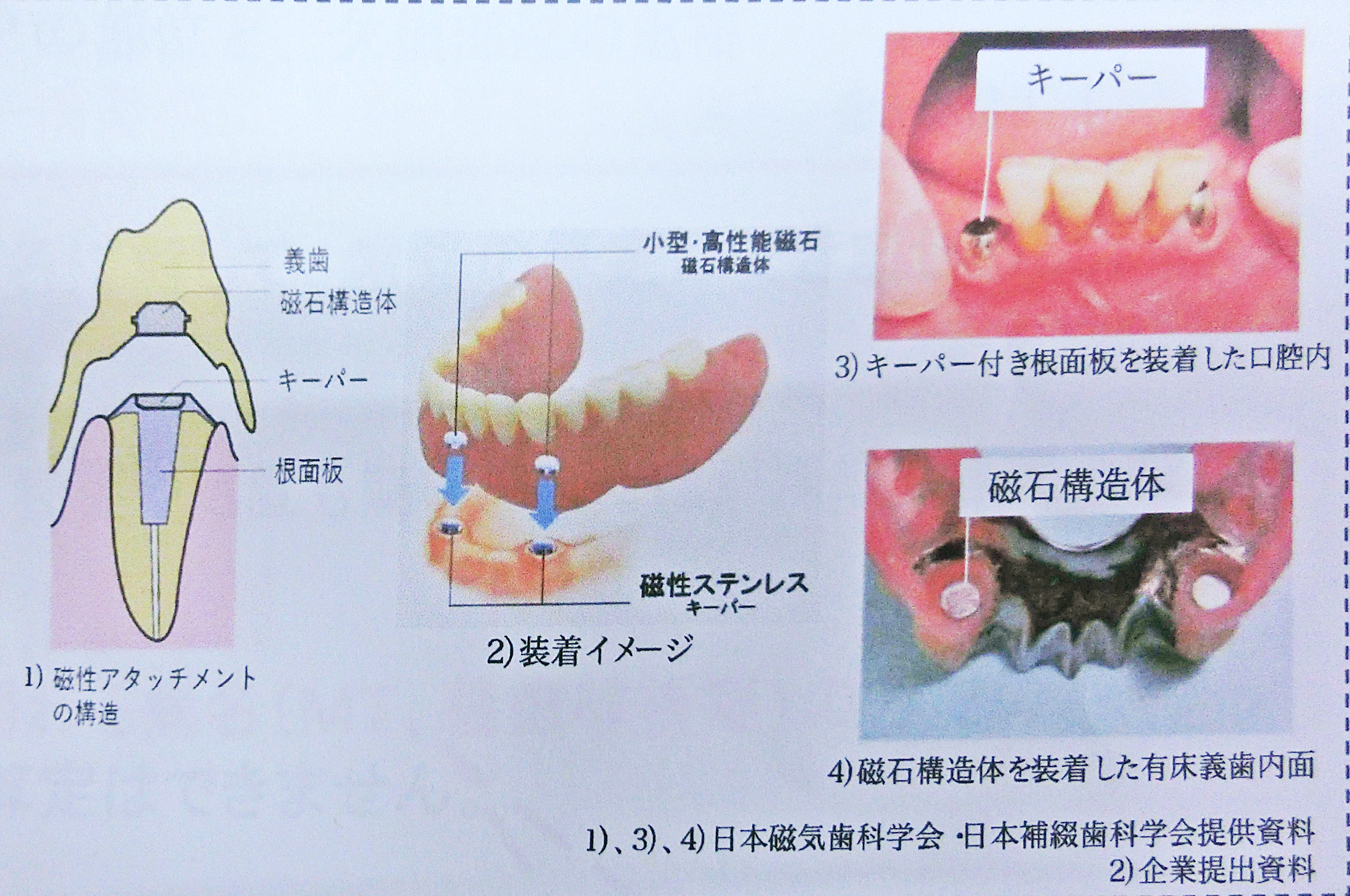 マグネット保険_むらたまこと