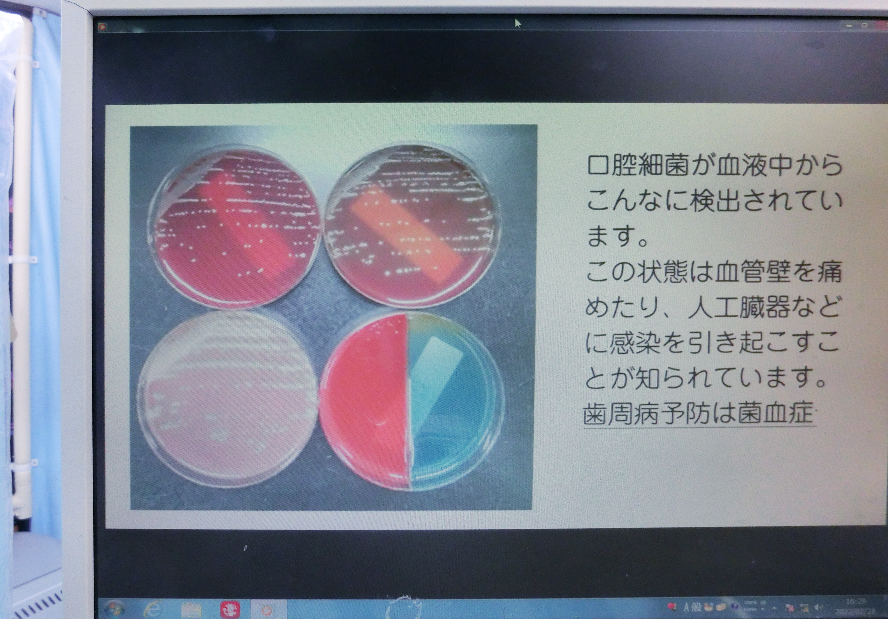 CIMG9305 - むらたまこと_re